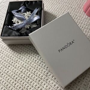 Pandora Silver and White Snowflake collectable Ornament